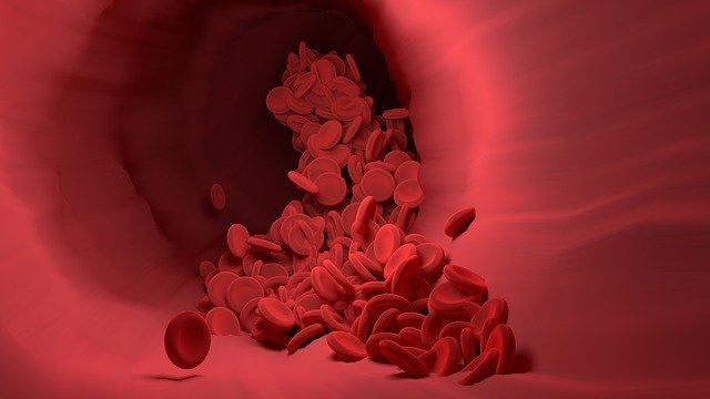 červené krvinky v cieve.jpg